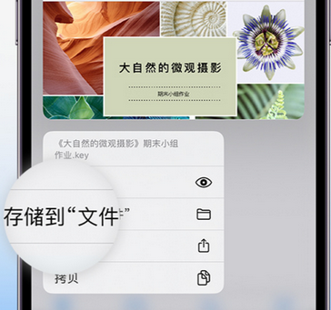 昌邑apple维修中心分享iPhone文件应用中存储和找到下载文件