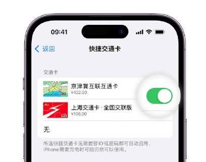 昌邑apple维修点分享iPhone上更换Apple Pay快捷交通卡手绘卡面 