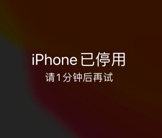 昌邑苹果手机维修分享:iPhone 显示“不可用”或“已停用”怎么办？还能保留数据吗？ 