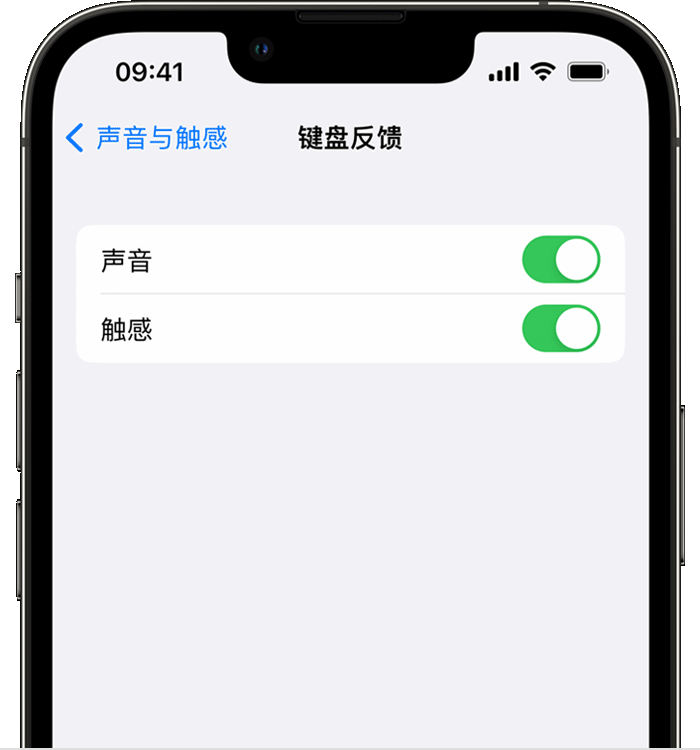 昌邑苹果14维修店分享如何在 iPhone 14 机型中使用触感键盘 