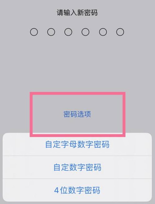 昌邑苹果14维修分享iPhone 14plus设置密码的方法 