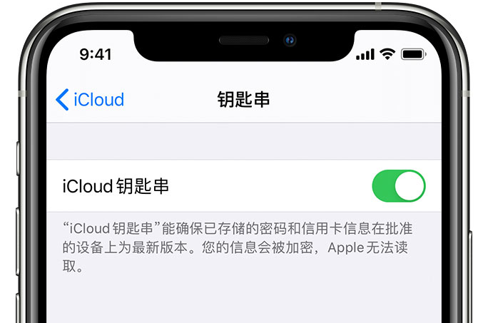 昌邑苹果手机维修分享在 iPhone 上开启 iCloud 钥匙串之后会储存哪些信息 