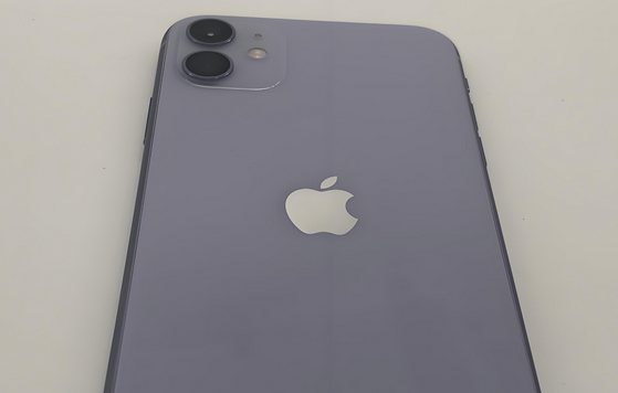 昌邑苹果11系统维修分享iPhone11手机系统崩溃无法开机如何解决