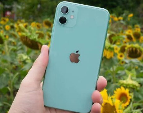 昌邑苹果维修点分享iPhone 11锁屏密码认知与使用科普 